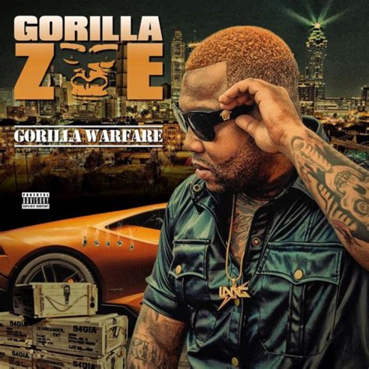 Image result for Gorilla Zoe