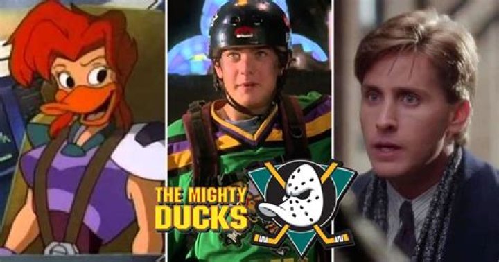 Is Mighty Ducks Based on a true story? – Celebrity