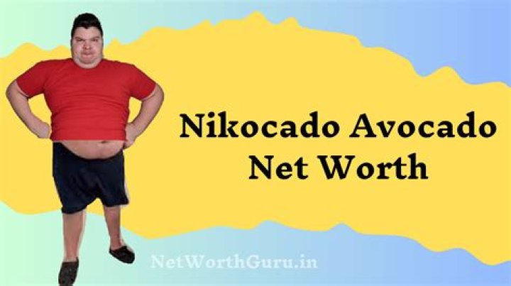 Nikocado Avocado Net Worth & Earnings (2024)