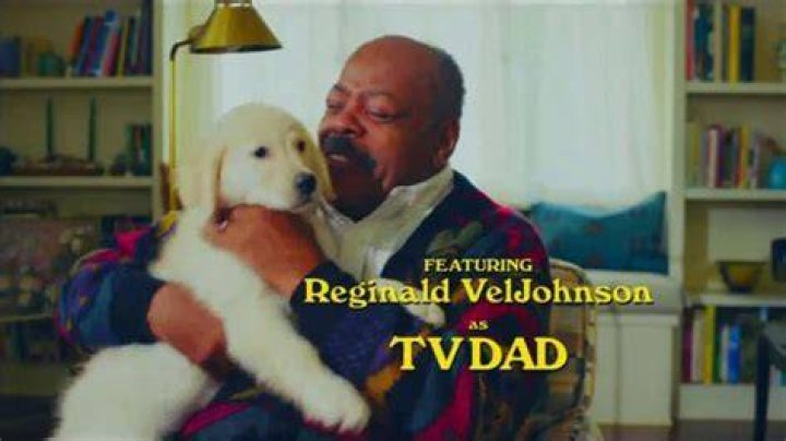 Tv Dad Commercial actor Reginald VelJohnson