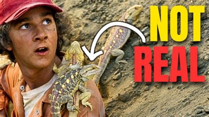 What Is Ravi’S Lizards Name? – Celebrity