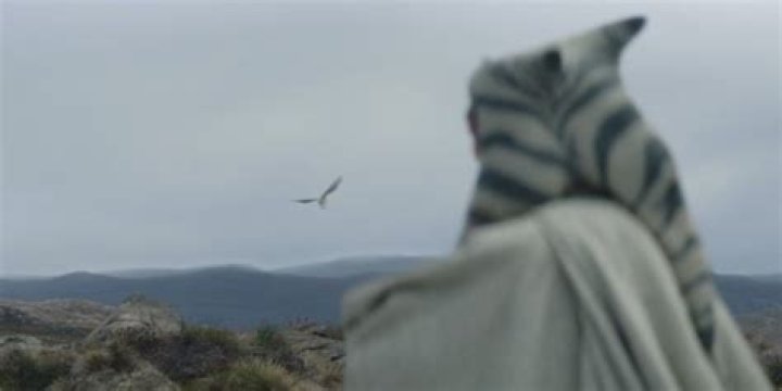 What is the significance of Ahsoka’s owl? – Celebrity
