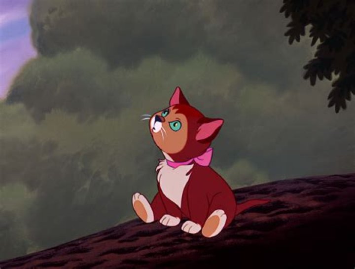 What kind of cat is Dinah? – Celebrity